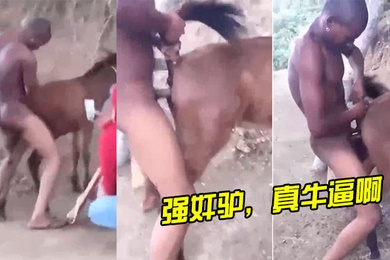 强奸驴真牛逼啊