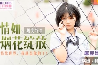 林晚琬情如烟花绽放_情欲世界我就是你的王