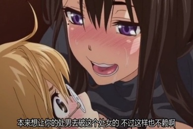 后宫狂热