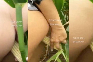 猎奇自慰草了一亩地的玉米解决