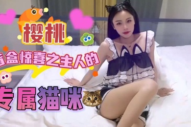 樱桃盲盒惊喜之主人的专属猫咪