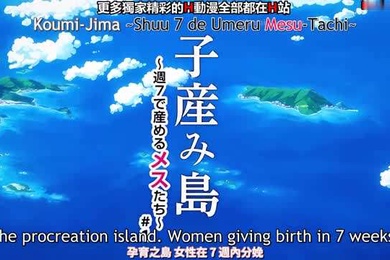 我想看的子岛上