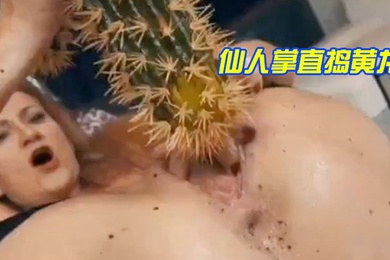 仙.人掌.直捣黄.龙