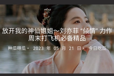放开我的神仙姐姐刘亦菲倾情力作周末打飞机必备精品